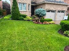 cleanup and grass cutting 289-772-7822 - Photo 3