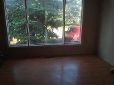 Renovated 3 bedroom duplex in Pineridge area, NE  Calgary - Photo 3