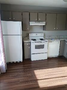 Renovated 3 bedroom duplex in Pineridge area, NE  Calgary - Photo 4