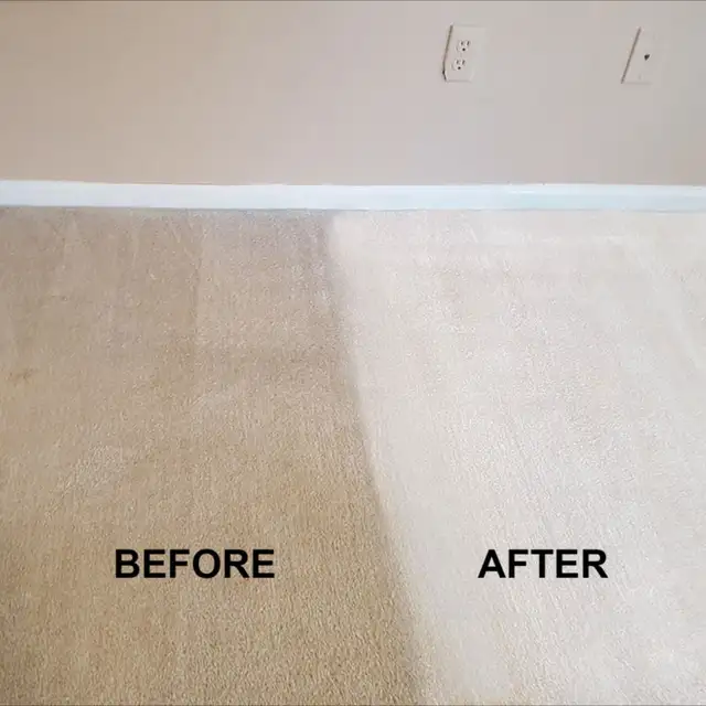Carpet, sofa, window and gutter cleaning