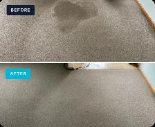 Carpet, sofa, window and gutter cleaning - Photo 2