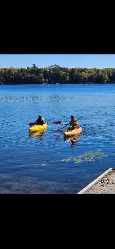 BEAUTIFUL WATERFRONT HOME NEAR KINGSTON ONTARIO (VERONA) - Photo 10