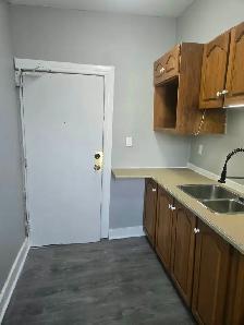 1 MNTH FREE RENT!HUGE 2 RM FURN. SUITE - KITCHN & BLT IN CLOSET - Photo 4