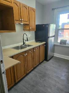 1 MNTH FREE RENT!HUGE 2 RM FURN. SUITE - KITCHN & BLT IN CLOSET - Photo 4