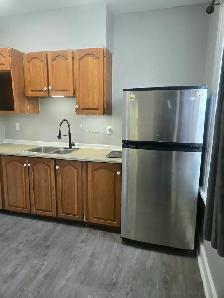 1 MNTH FREE RENT!HUGE 2 RM FURN. SUITE - KITCHN & BLT IN CLOSET - Photo 6