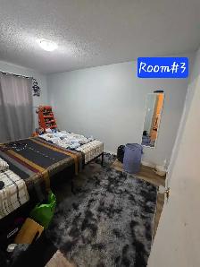 Rental Property for Sale - Photo 7