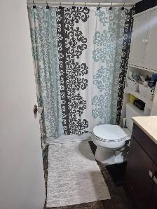 Room for Rent available Dec 1st $650 - Photo 6