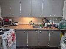 Room for Rent available Dec 1st $650 - Photo 12