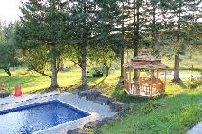 one private furnished bedroom and washroom available for Rent - Photo 7