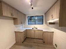 Magnifique 3 1/2 à 995$ NOVEMBRE, rénové