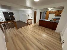 4 1/2 à Repentigny, 1250$ DISPONIBLE IMMÉDIATEMENT - Photo 2