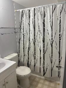 2 Bedroom East end Apartment for rent - Photo 7