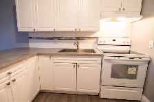 1 Ormond St N, Thorold (12) - Bachelor Apartment - Photo 2