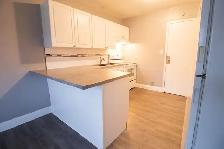 1 Ormond St N, Thorold (12) - Bachelor Apartment - Photo 4