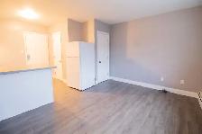 1 Ormond St N, Thorold (12) - Bachelor Apartment - Photo 6