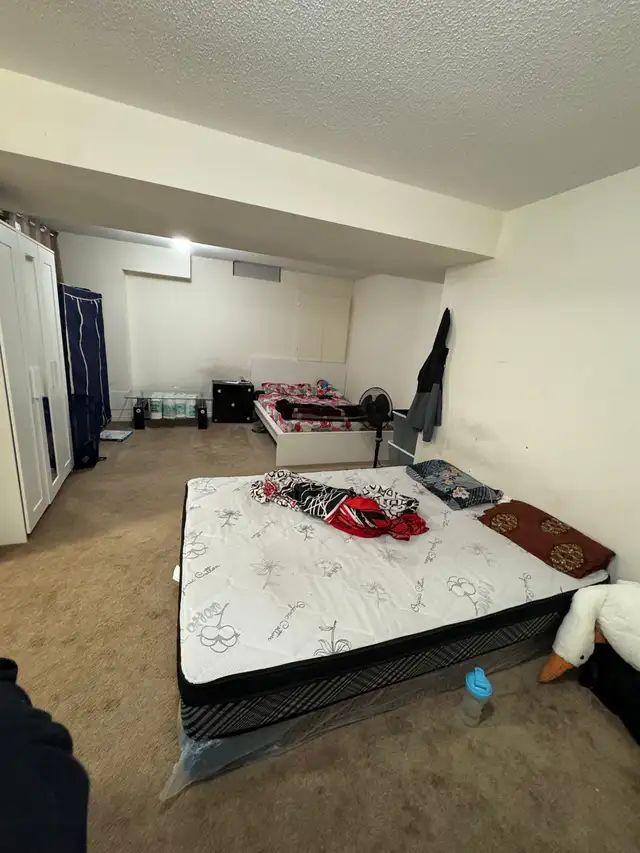 BACHELOR/ STUDIO APPARTMENT FOR RENT IN BRAMPTON