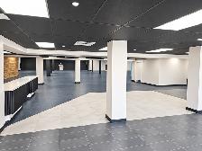 IMPRESSIVE 20,000 SQ. FT. COMMERCIAL SPACE FOR LEASE - Photo 3