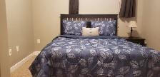 Bright Open Basement Suite - Photo 6