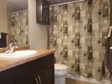 Bright Open Basement Suite - Photo 7