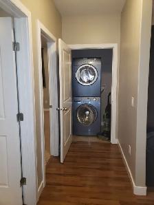 Bright Open Basement Suite - Photo 8