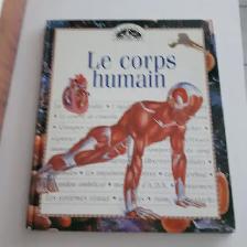 GRAND LIVRE NEUF ADO 10à12POUCES,LE CORPS HUMAIN 64 PAGES: $5.00