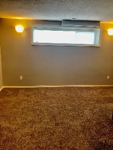 1 Bedroom 1 Bathroom Basement   Den - Photo 4