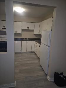 1 & 2 Bedroom Apartments for Rent - Photo 2