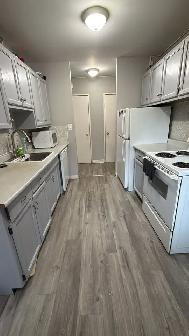 Spacious 2BR 1BA – Central Kingston | 5-min Bike to Queen's