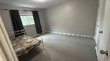 Spacious 2BR 1BA – Central Kingston | 5-min Bike to Queen's - Photo 5