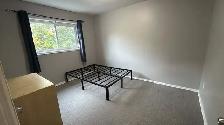 Spacious 2BR 1BA – Central Kingston | 5-min Bike to Queen's - Photo 8