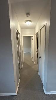 Spacious 2BR 1BA – Central Kingston | 5-min Bike to Queen's - Photo 9
