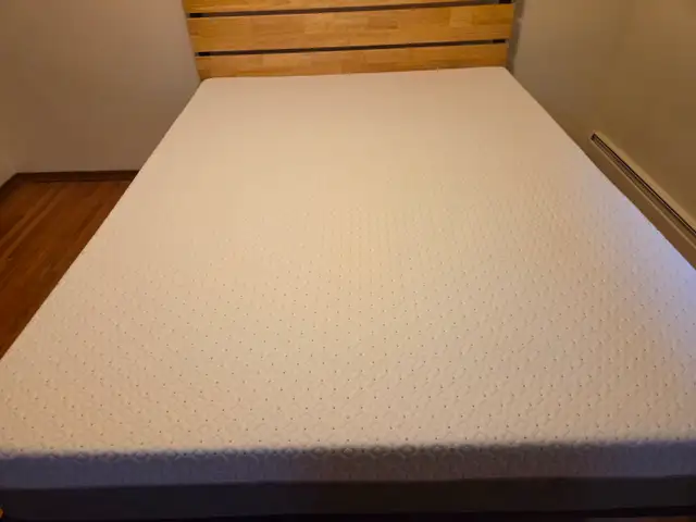 ENDY Mattress (Queen)