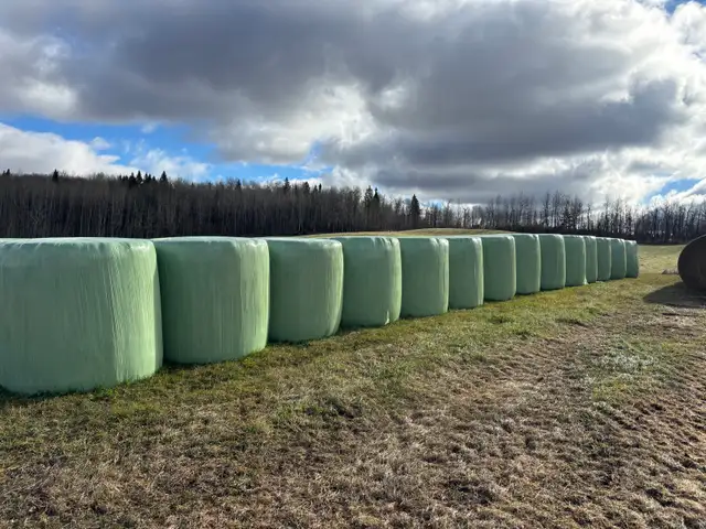 Hay for sale