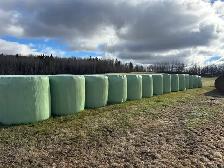 Hay for sale
