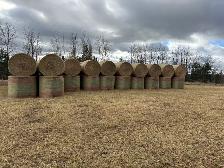 Hay for sale - Photo 2