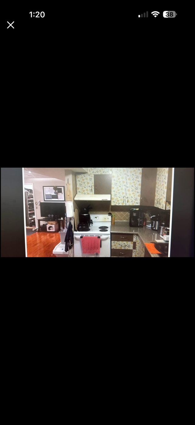 Basement- Room for rent