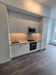 NEW CONDO 1 BED   DEN, 11-FT CEILINGS, PARKING  LOCKER $2450/mth - Photo 2