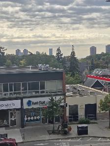 NEW CONDO 1 BED   DEN, 11-FT CEILINGS, PARKING  LOCKER $2450/mth - Photo 3