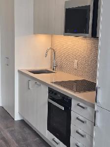NEW CONDO 1 BED   DEN, 11-FT CEILINGS, PARKING  LOCKER $2450/mth - Photo 6