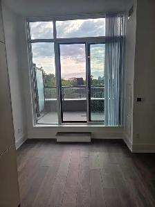 NEW CONDO 1 BED   DEN, 11-FT CEILINGS, PARKING  LOCKER $2450/mth - Photo 9