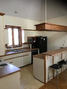 Bright, Open Concept, Two-level Apartment - Photo 3