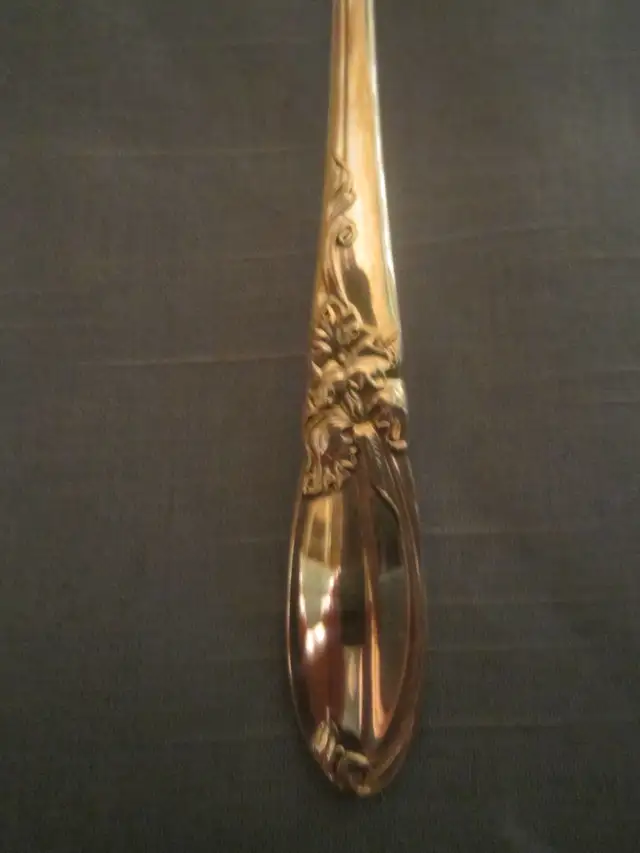 #314Z   WHITE ORCHID silverware set for 10