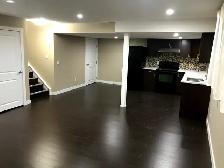 Basement Rental - Photo 2