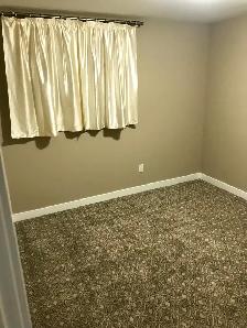 Basement Rental - Photo 7