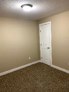 Basement Rental - Photo 8
