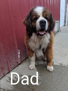 St Labernese - Photo 5