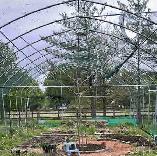 Greenhouse frame