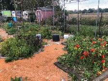 Greenhouse frame - Photo 4