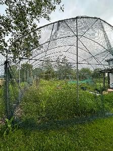 Greenhouse frame - Photo 8