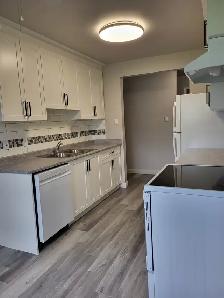 Spacious 2 Bedroom Suite Available for Rent October 26Th - Photo 2